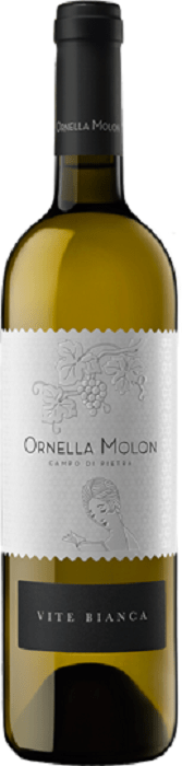 35-Chardonnay-Vite-Bianca-Ornella-Molon-1.png